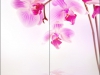 photoprint-112