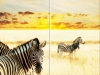 photoprint-127