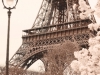 photoprint-130