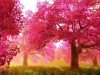 photoprint-16